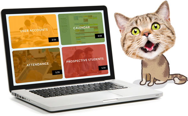 LaptopDemoVidoes Happy cat with a laptop