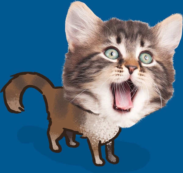 StandingWowCat Excited cat